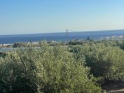 Koutsouras Kreta, Koutsouras: Tolles Baugrundstück in Meeresnähe zu verkaufen Grundstück kaufen